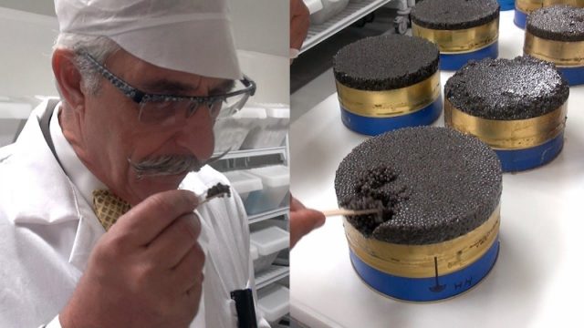 On a testé : le caviar
